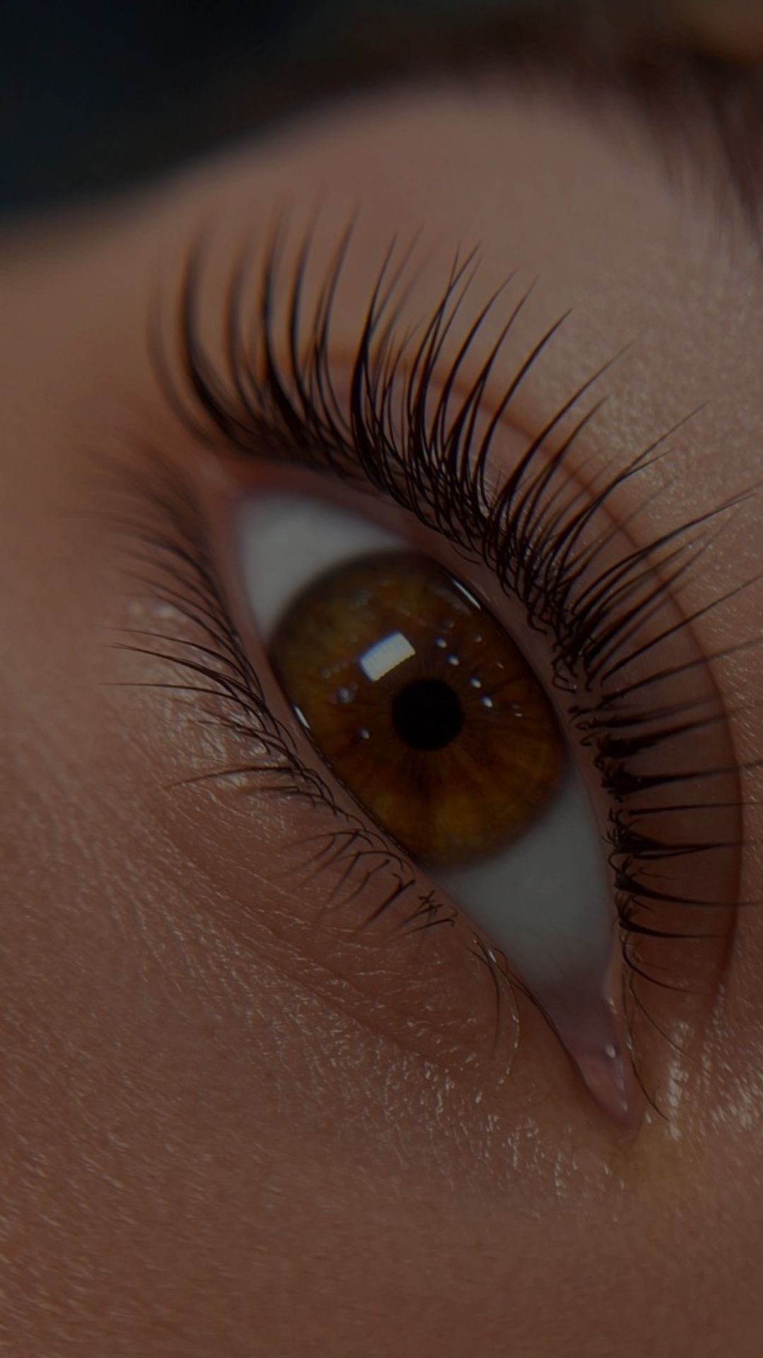 Фото услуги